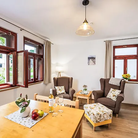 Olsina By Interhome Appartement Horní Planá
