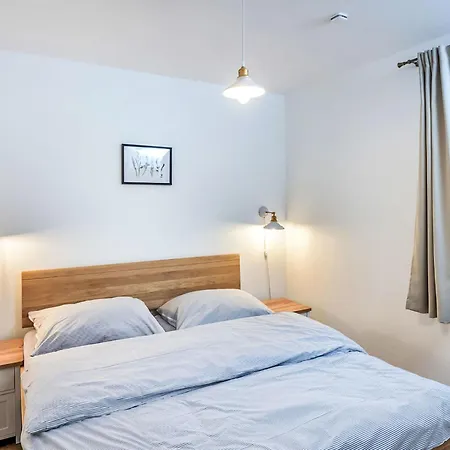 Olsina By Interhome Horní Planá