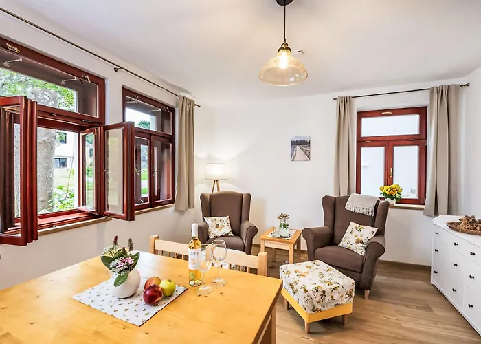 Olsina By Interhome Apartment Horní Planá