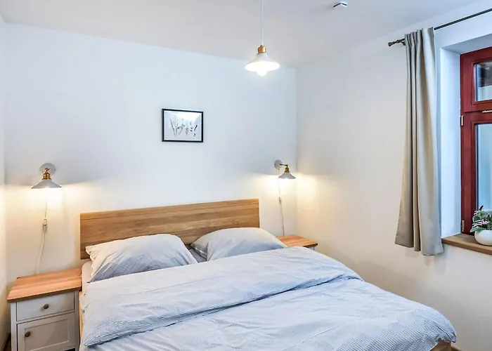 Olsina By Interhome Horní Planá