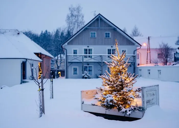 Olsina By Interhome Horní Planá